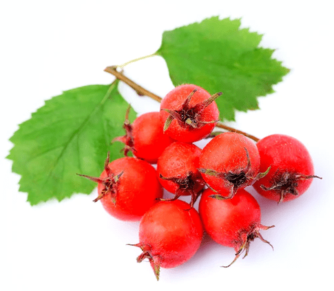 Hawthorn bei Tonerin